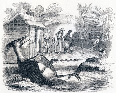 Fuglen gør ondt af en pil - Fabler af La Fontaine af Grandville