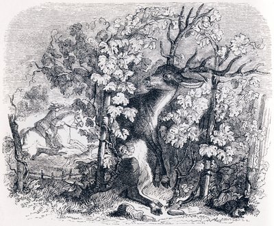 Hjorten og vinstokken - Fabler af La Fontaine af Grandville
