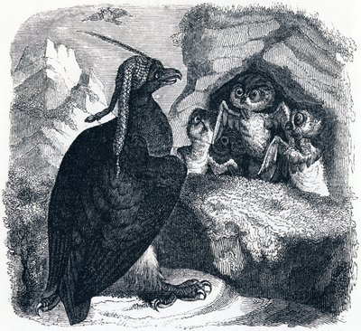 Ørnen og uglen - Fabler af La Fontaine af Grandville