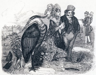 Hejren (le Heron) - Fabler af La Fontaine af Grandville