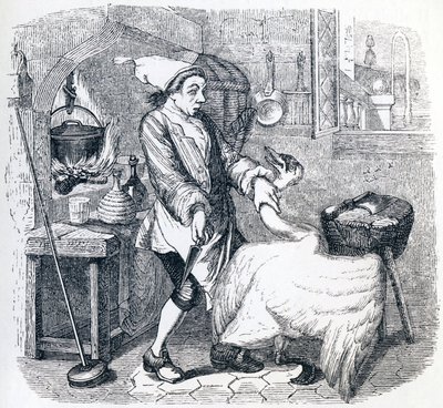 Svanen og kokken - Fabler af La Fontaine af Grandville