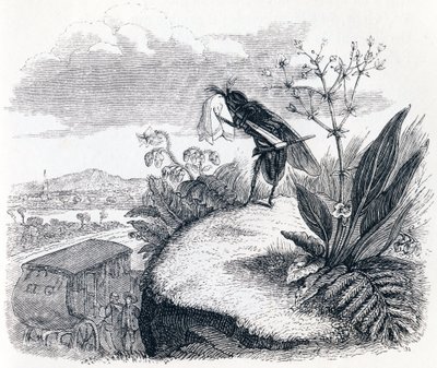 Tækken og fluen - Fabler af La Fontaine af Grandville