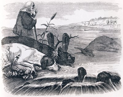 De to hunde og det døde æsel - Fabler af La Fontaine af Grandville