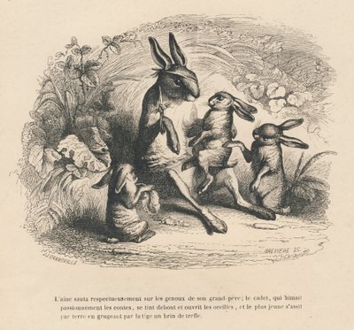 I kaninbørn, der lytter til deres sårede bedstefar fortælle historier. Miniaturer illustreret af JJ Granville. Gravering signeret Breviere i delen "Historien om en hare" skrevet af PJ Stahl i "Scener fra dyrenes private og offentlige liv". Paris af Grandville