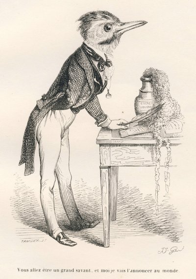 Du vil blive en stor lærd, og jeg vil bekendtgøre det til verden. Vignetter illustreret af JJ Granville. Gravering signeret Tamisier i sektionen med titlen "Guide-ass for the use of animals who want to achieve æres" skrevet af Honore De Balzac i af Grandville