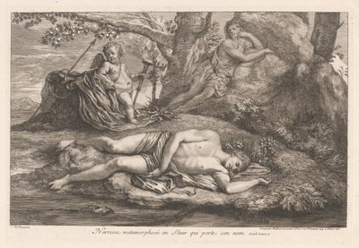 Narcissus i ekko Narcissus forvandlet til en blomst, der bærer hans navn (titel på objekt) af Gérard Audran