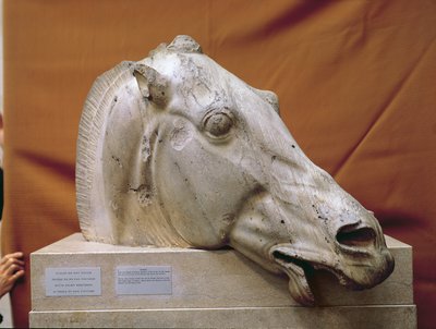 Hoved af en hest af Selene af Greek