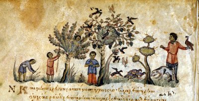 Jagt med falke for at fange fugle - i "" De Venatione"" af Oppianus, græsk manuskript fra det 13. århundrede. Biblioteca Marciana. Venedig af Greek School