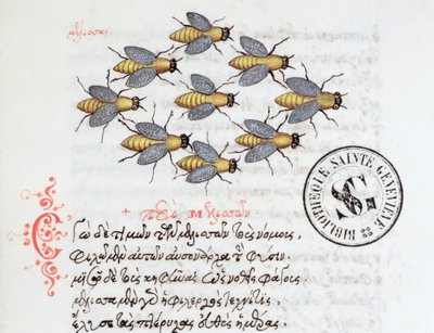 Ms 3402 Bees, fra et Bestiary af Manuel Philes, 1566 af Greek School