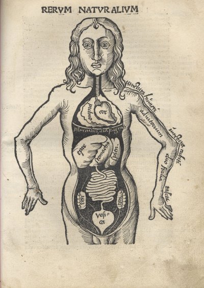 Margarita filosofisk Anatomi, 1504 af Gregor Reisch