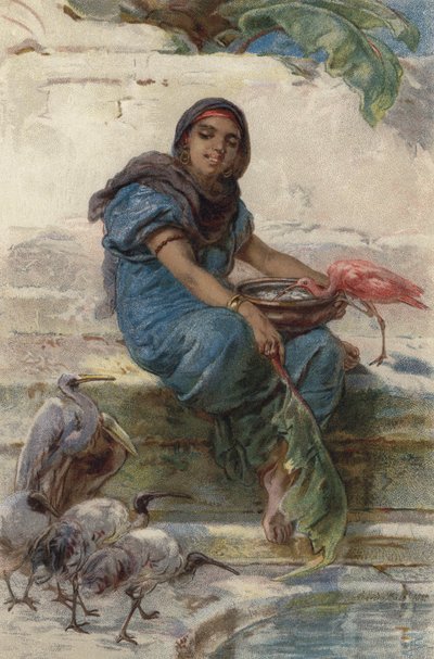 Fodring af de hellige fugle (farve litho) af Guido Bach