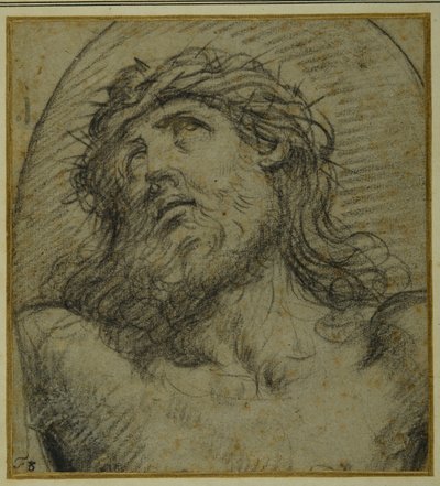 Hoved og skuldre af den levende Kristus korsfæstede (sort kridt på carta azzurra) af Guido Reni