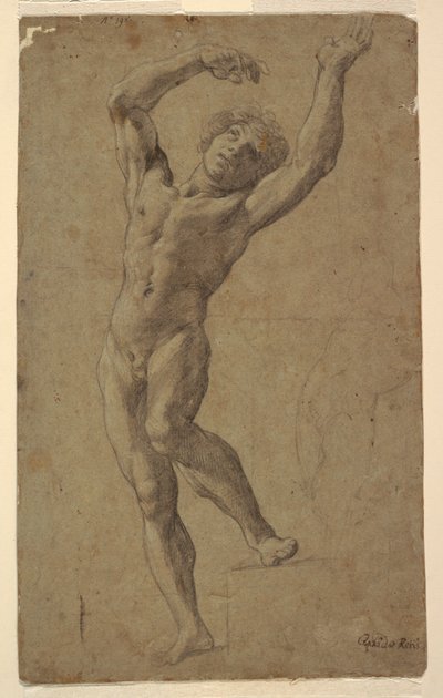 Undersøgelse for St. Sebastian, Pomarici Santomasi Museum, Puglia, Italien af Guido Reni