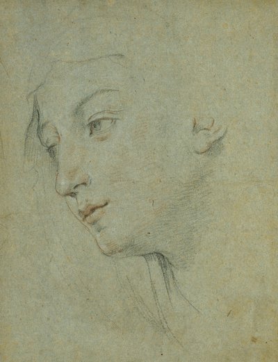 Hovedet af en kvinde, der ser ned til venstre, af Guido Reni