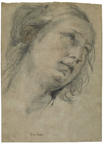 The Head of a Young Woman Looking Upward, ca. 1609 (sort og rødt kridt med strejf af hvidt kridt på brunt lagt papir) af Guido Reni