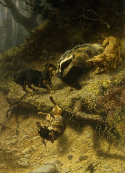 Gravhunde på en grævling, 1882 af Guido von Maffei