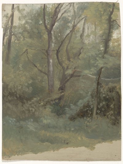 skov udsigt af Guillaume Anne van der Brugghen