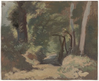 Forest Road af Guillaume Anne van der Brugghen