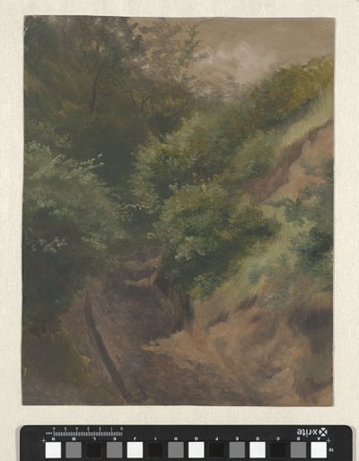 Klitvej af Guillaume Anne van der Brugghen