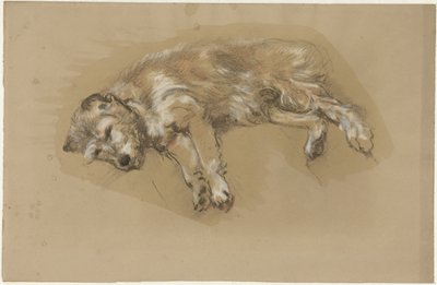 liggende hund af Guillaume Anne van der Brugghen