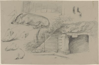 Skitseark med undersøgelser af grise i vildsvineparken i Artis af Guillaume Anne van der Brugghen