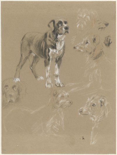 Studier af en hund af Guillaume Anne van der Brugghen