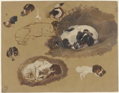 Studier af en jagthund af Guillaume Anne van der Brugghen