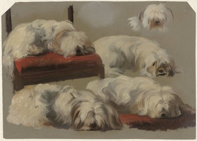 Undersøgelser af en hvid skødehund af Guillaume Anne van der Brugghen