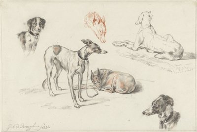 Undersøgelser af hunde af Guillaume Anne van der Brugghen