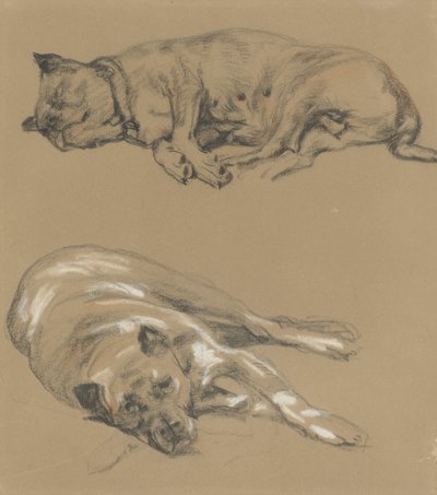 To undersøgelser af en liggende hund af Guillaume Anne van der Brugghen