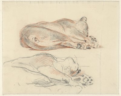 To undersøgelser af en tilbagelænet tiger af Guillaume Anne van der Brugghen