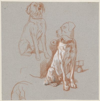To undersøgelser af en siddende hund af Guillaume Anne van der Brugghen