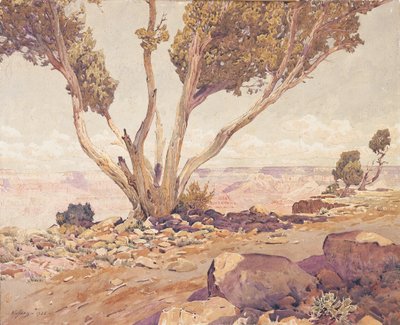 Grand Canyon af Gunnar Widforss