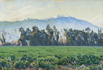 Sierra Nevada-bjergene (w/c på papir) af Gunnar Widforss