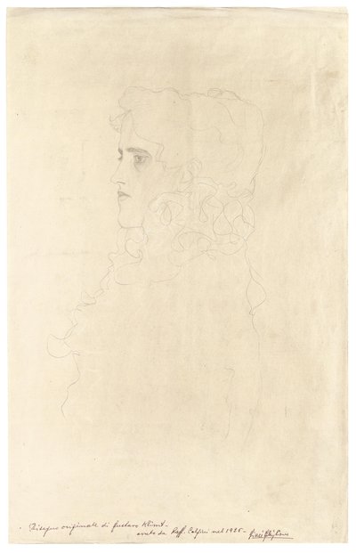 Portræt af en kvinde i profil med en krage af Gustav Klimt