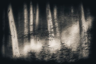 Drømmen om den tågede skov af Gustav Davidsson