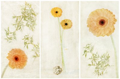 Soft Gerbera-triptykon af Gustav Davidsson