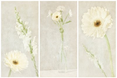 Bløde, hvide blomster af Gustav Davidsson