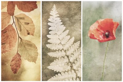 Vintage Nature Trio af Gustav Davidsson