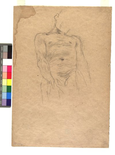 Männlicher Torso af Gustav Klimt