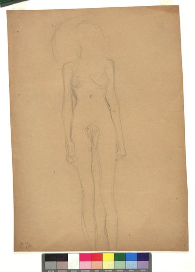 Stehender weiblicher Akt af Gustav Klimt