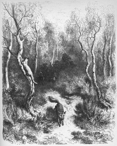 le chat et le fox - Ræven og katten - fra 
