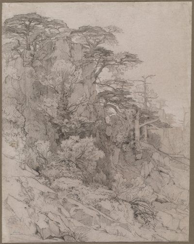 Træer i en klippeskråning af Gustave Achille Guillaumet