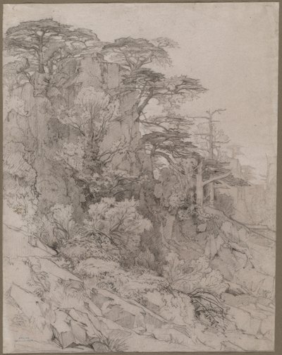 Træer i en klippeskråning, slutningen af 1800-tallet. af Gustave Achille Guillaumet