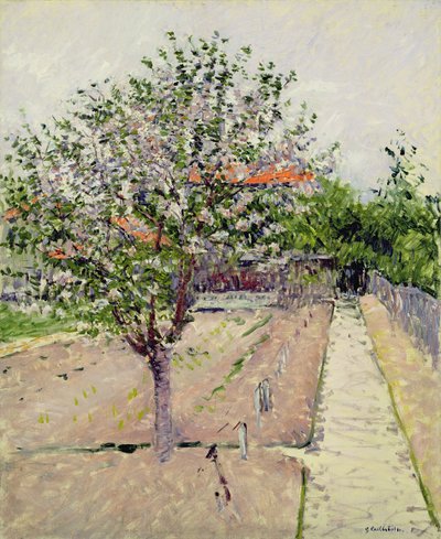 Æbletræ i blomst, ca. 1885 af Gustave Caillebotte