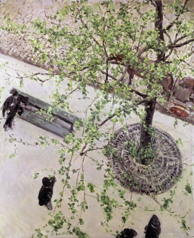 Boulevard Seen from Above, 1880dani af Gustave Caillebotte