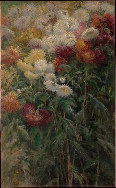 Krysantemum i haven i Petit-Gennevilliers af Gustave Caillebotte