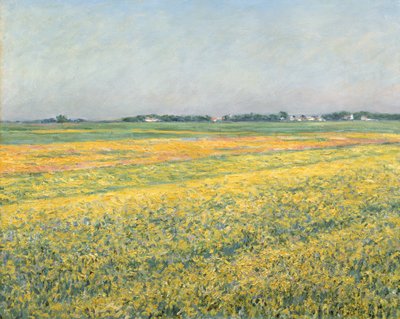 Sletten af Gennevilliers, gule marker; La plaine de Gennevilliers, champs jaunes, 1884 af Gustave Caillebotte