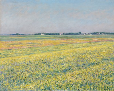 Gennevilliers-sletten, gule marker af Gustave Caillebotte