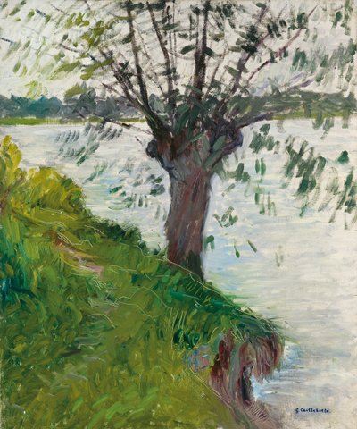 Pil ved Floden; Saule au bord de la riviere, ca. 1891 af Gustave Caillebotte